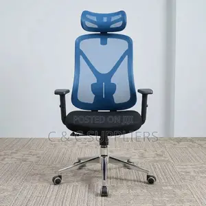 Ergonomic Blue-Mesh Back Study Chair.