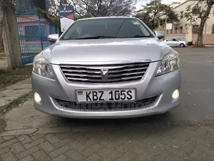Toyota Premio 2009 Silver