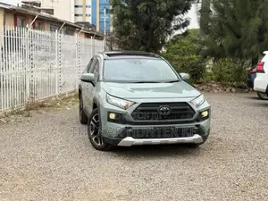 Toyota RAV4 Adventure AWD 2020 Gray