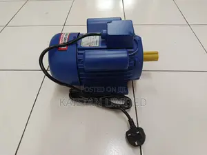 2HP Electric Motor