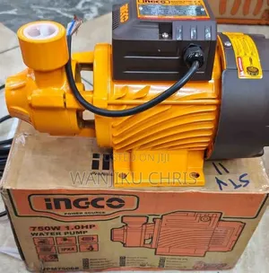 Ingco 1HP Electric Booster Water Pump