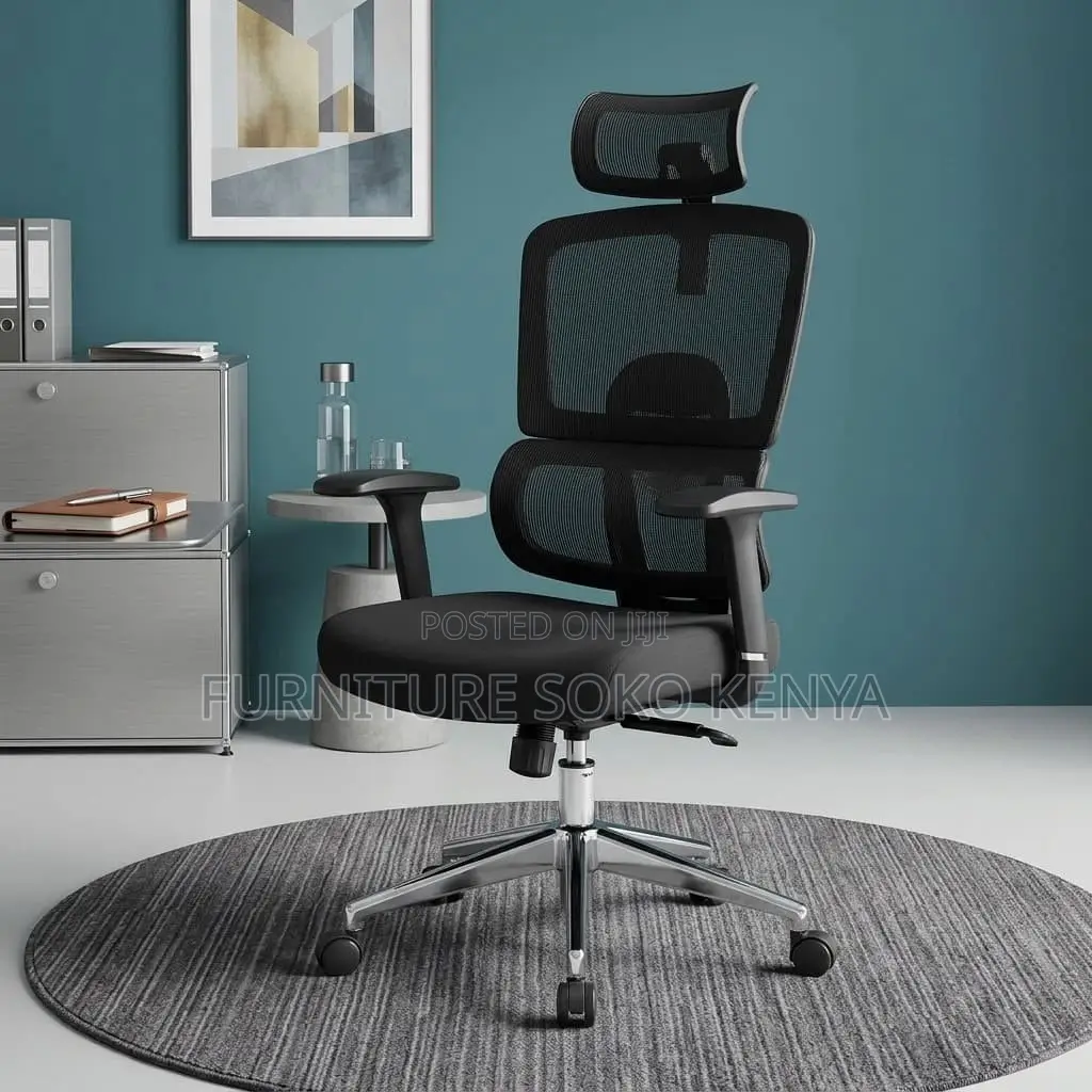 Executive Ergonomic Seat | Orthopedic Fabricate Chair