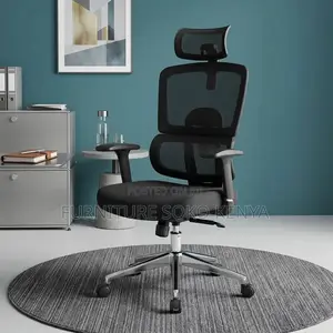Executive Ergonomic Seat | Orthopedic Fabricate Chair