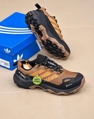 Lightmotion Cushioning Adidas Terrex Skychaser AX5 GORE-TEX Hiking Sho