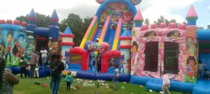 Bouncing Castle for Hire
