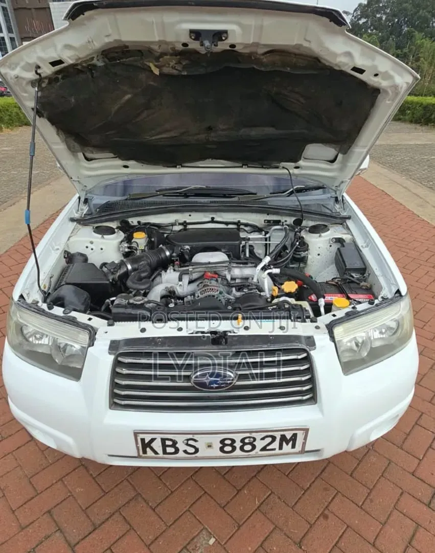 Subaru Forester 2005 White