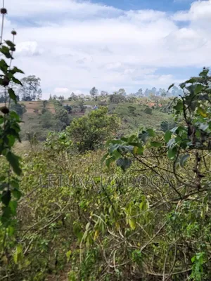 Ngong-Kahara 15 Acres