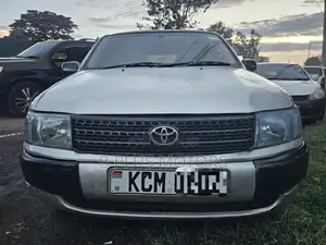 Toyota Probox 2010 Silver