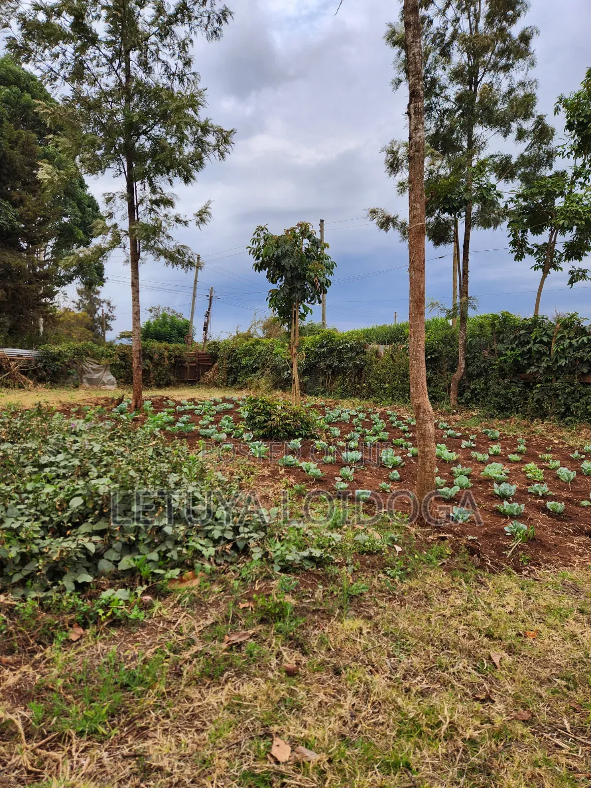 1⁄8 Acre Ngong-Bondeni