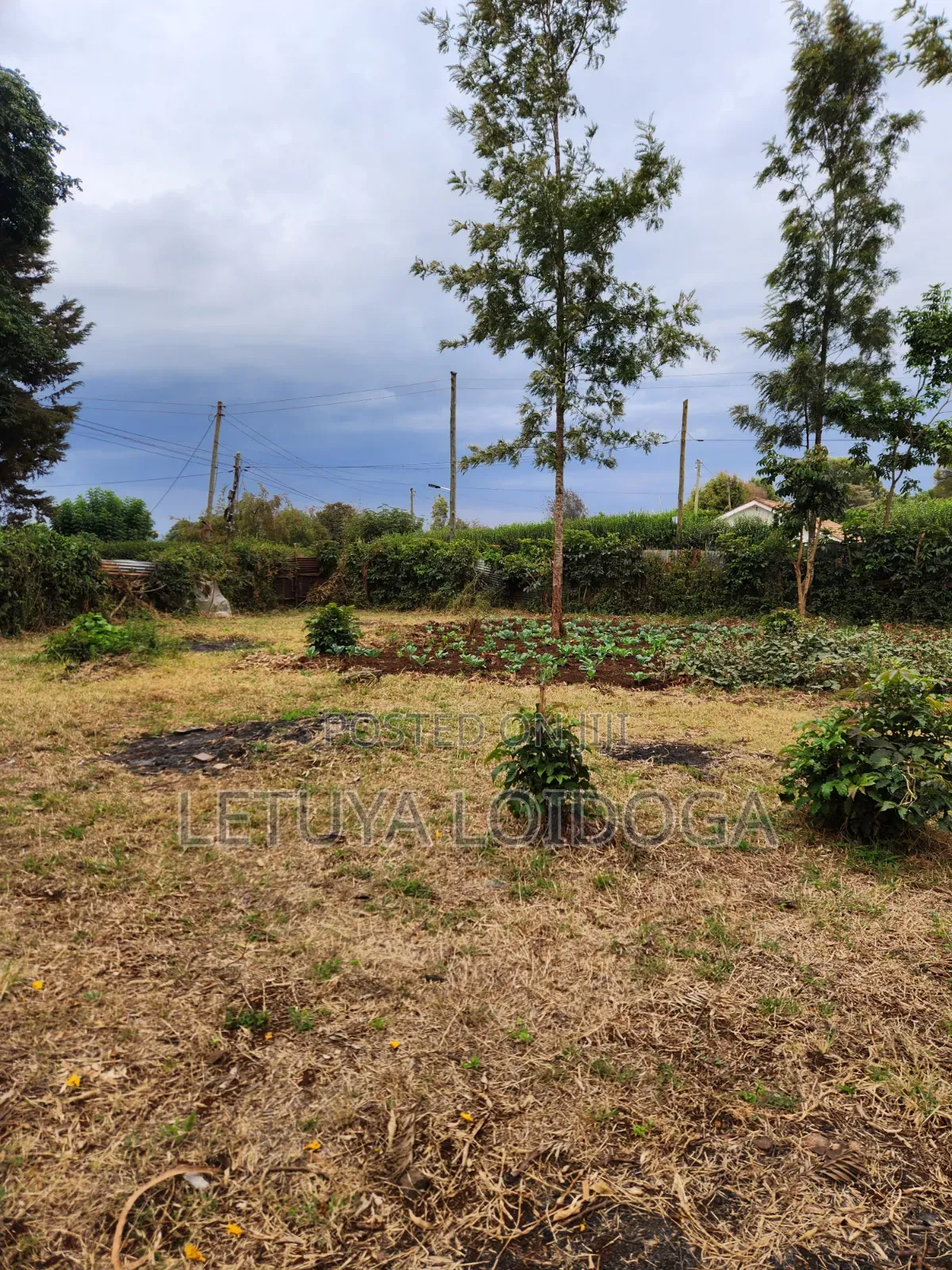 1⁄8 Acre Ngong-Bondeni