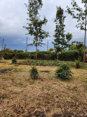 1⁄8 Acre Ngong-Bondeni