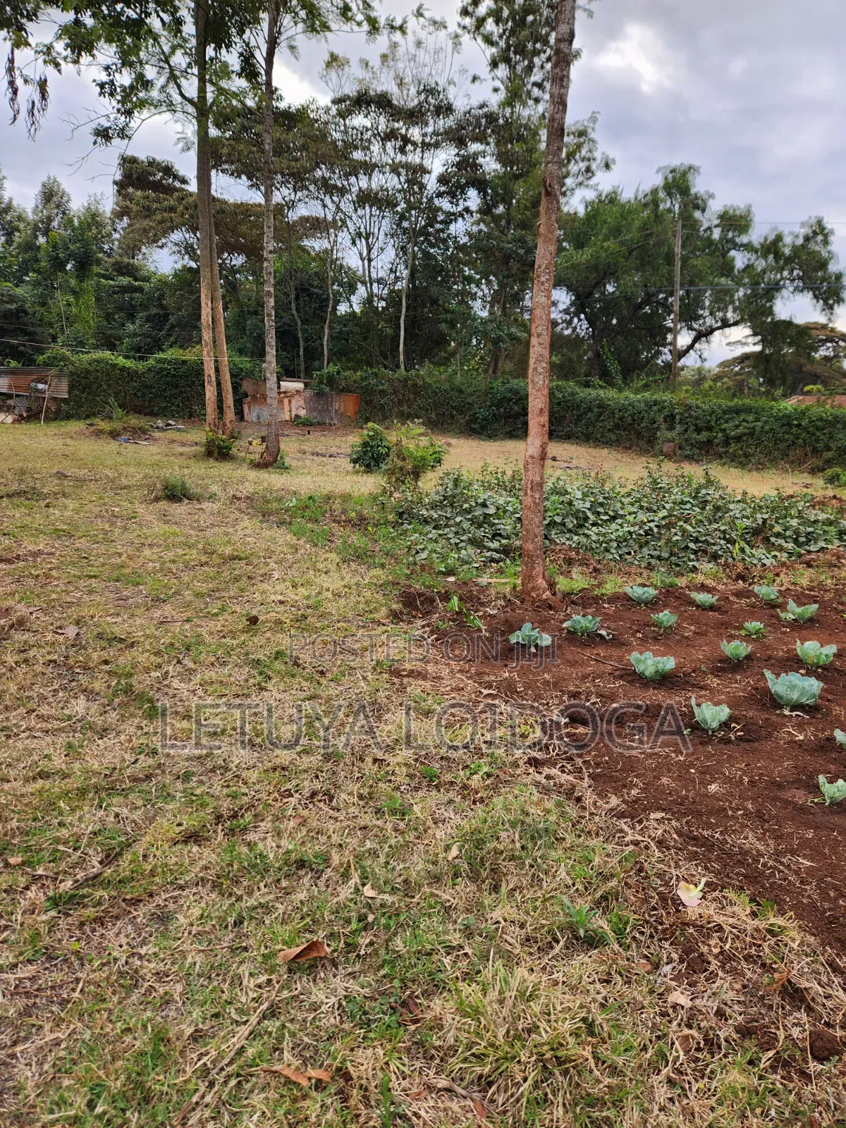 1⁄8 Acre Ngong-Bondeni