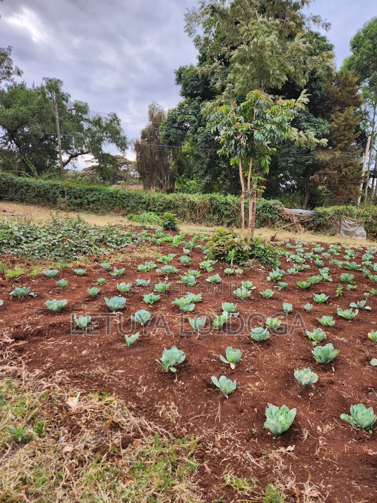 1⁄8 Acre Ngong-Bondeni