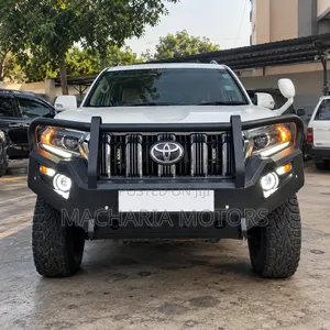 Prado 150 Custom Fit Bull Bar