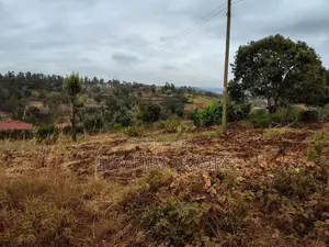 Hi I'm Selling the Land Half Acre in Size 6.2 M Which Is 1km From Quiv