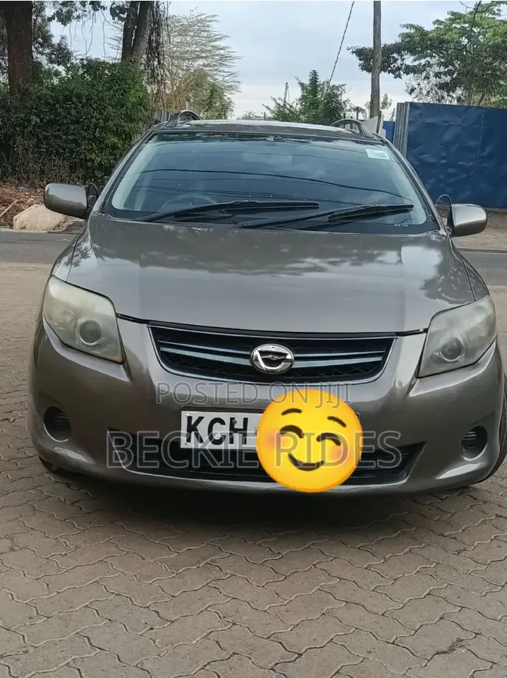 Toyota Corolla Fielder 2010 Gray