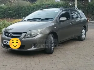 Toyota Corolla Fielder 2010 Gray