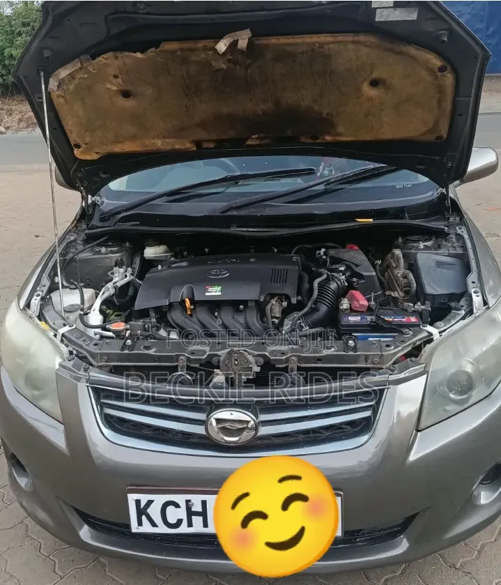 Toyota Corolla Fielder 2010 Gray