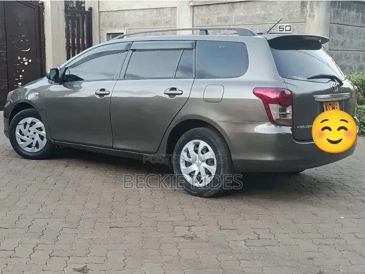 Toyota Corolla Fielder 2010 Gray