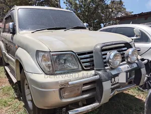 Toyota Land Cruiser 2001 Silver