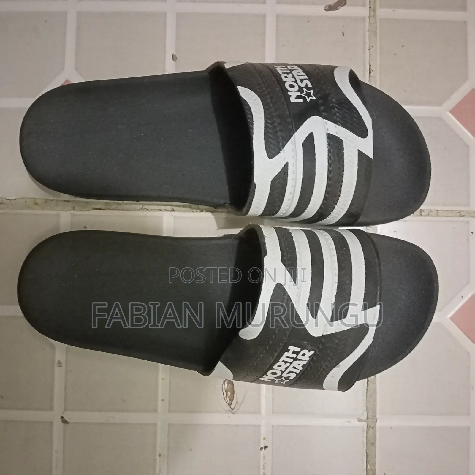 North Star Slides