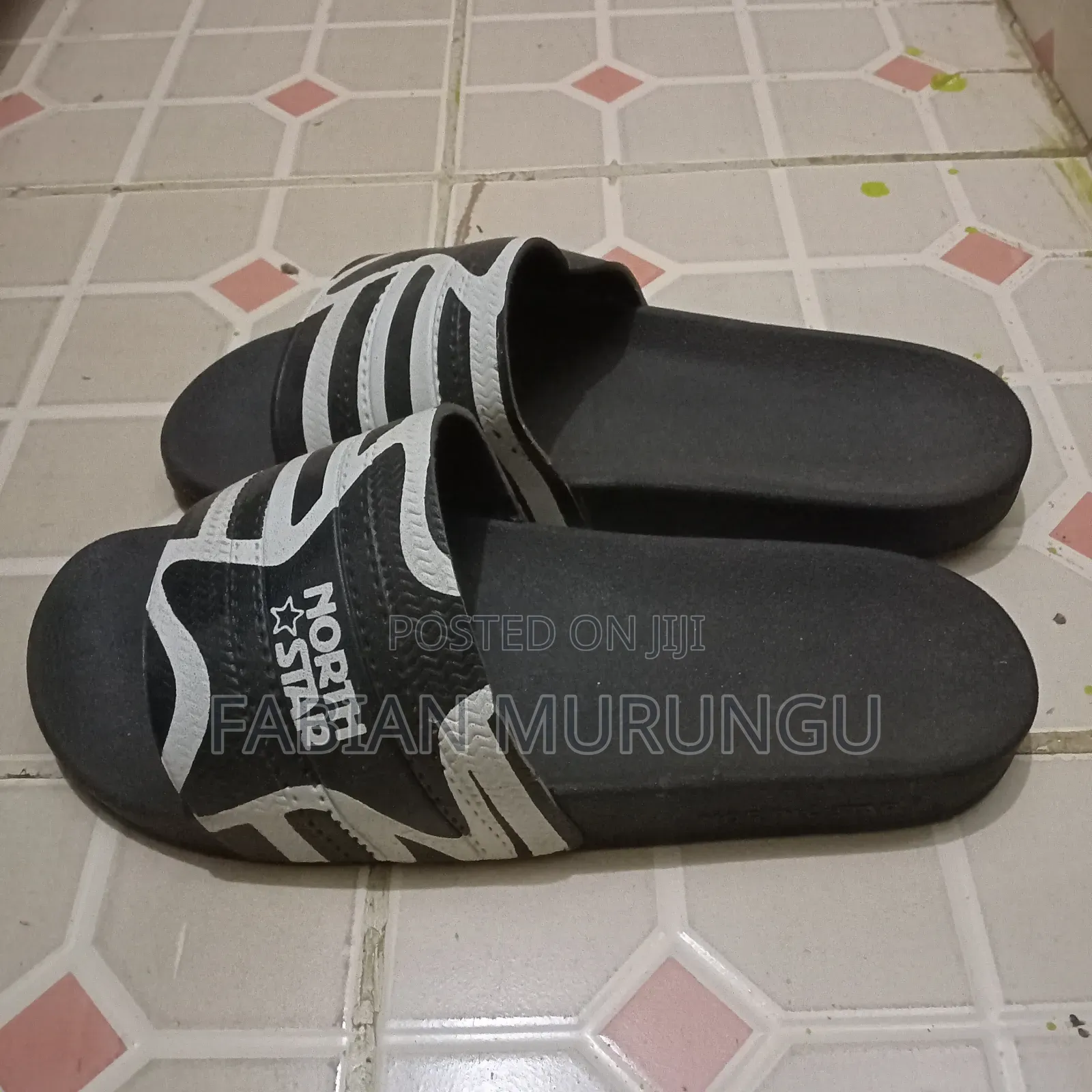 North Star Slides