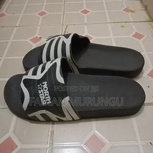 North Star Slides
