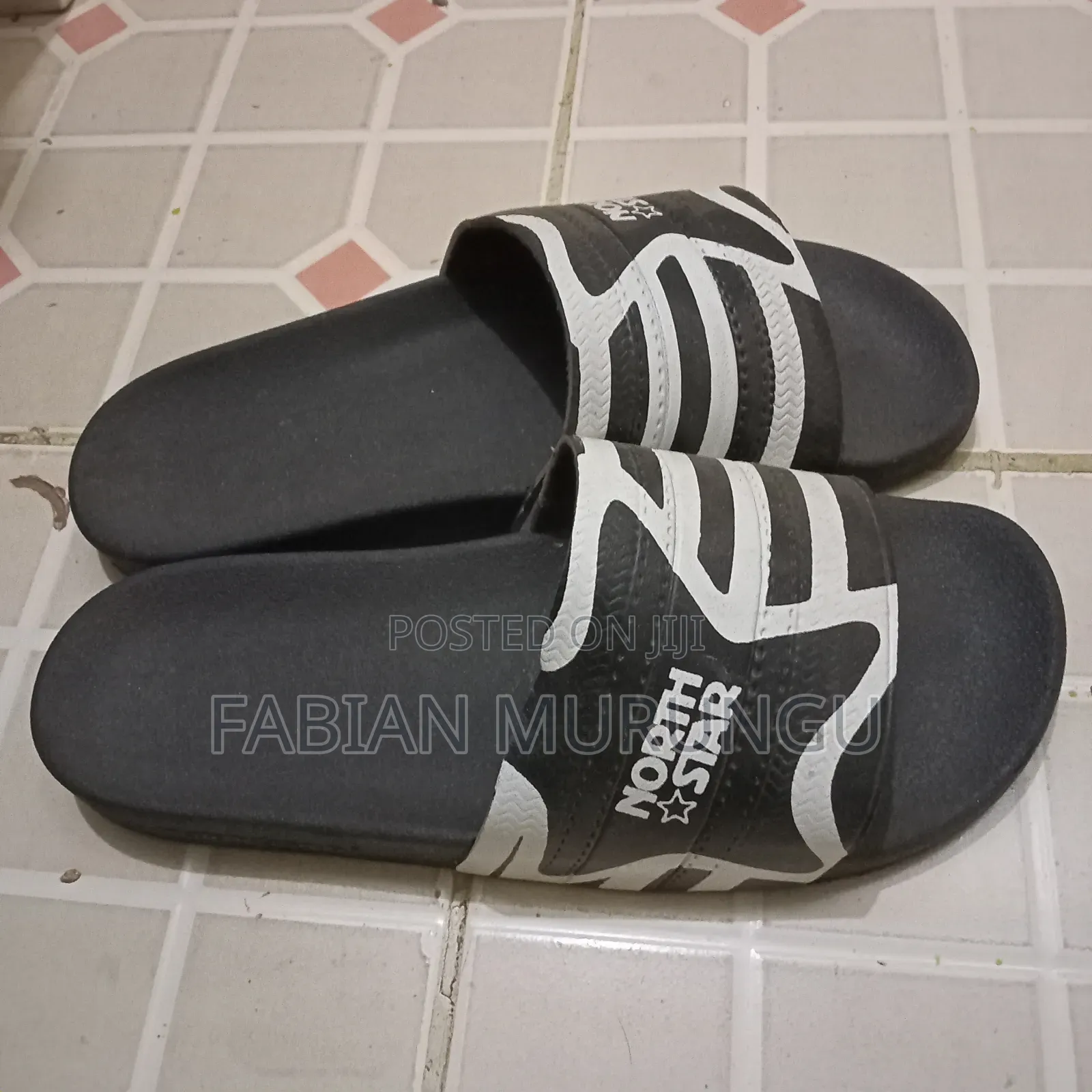 North Star Slides