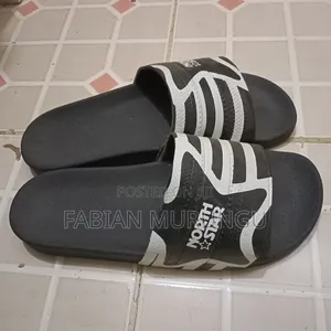 North Star Slides