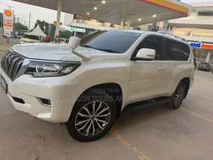 Car Rental