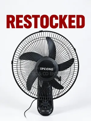 Ipcone Wall Fan 16