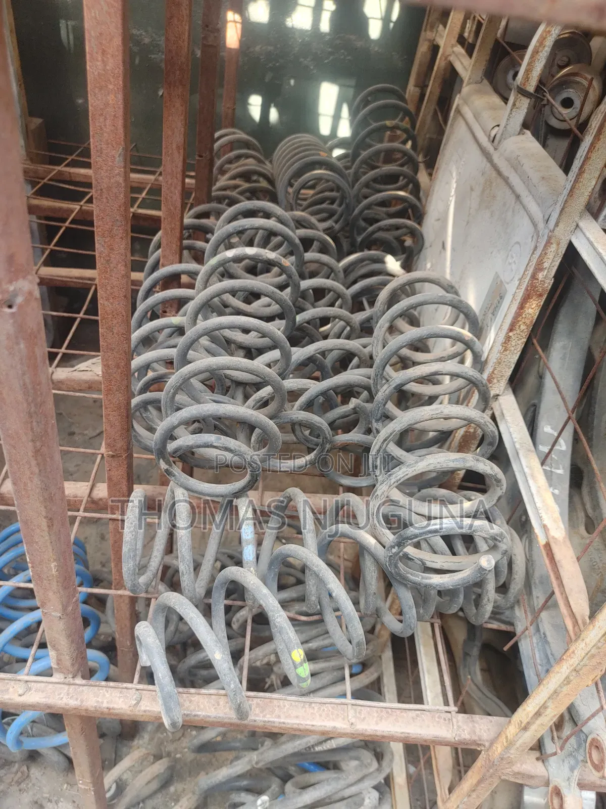 VW Coil Springs