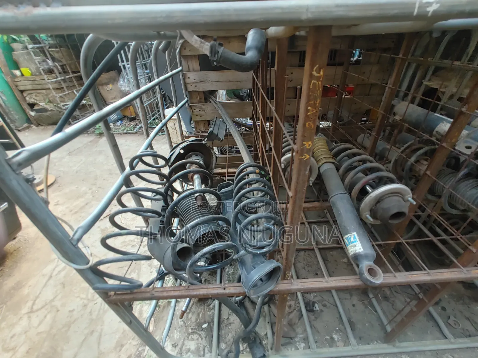 VW Coil Springs