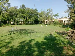 Three Quarters Land in Ahero Town for Sale