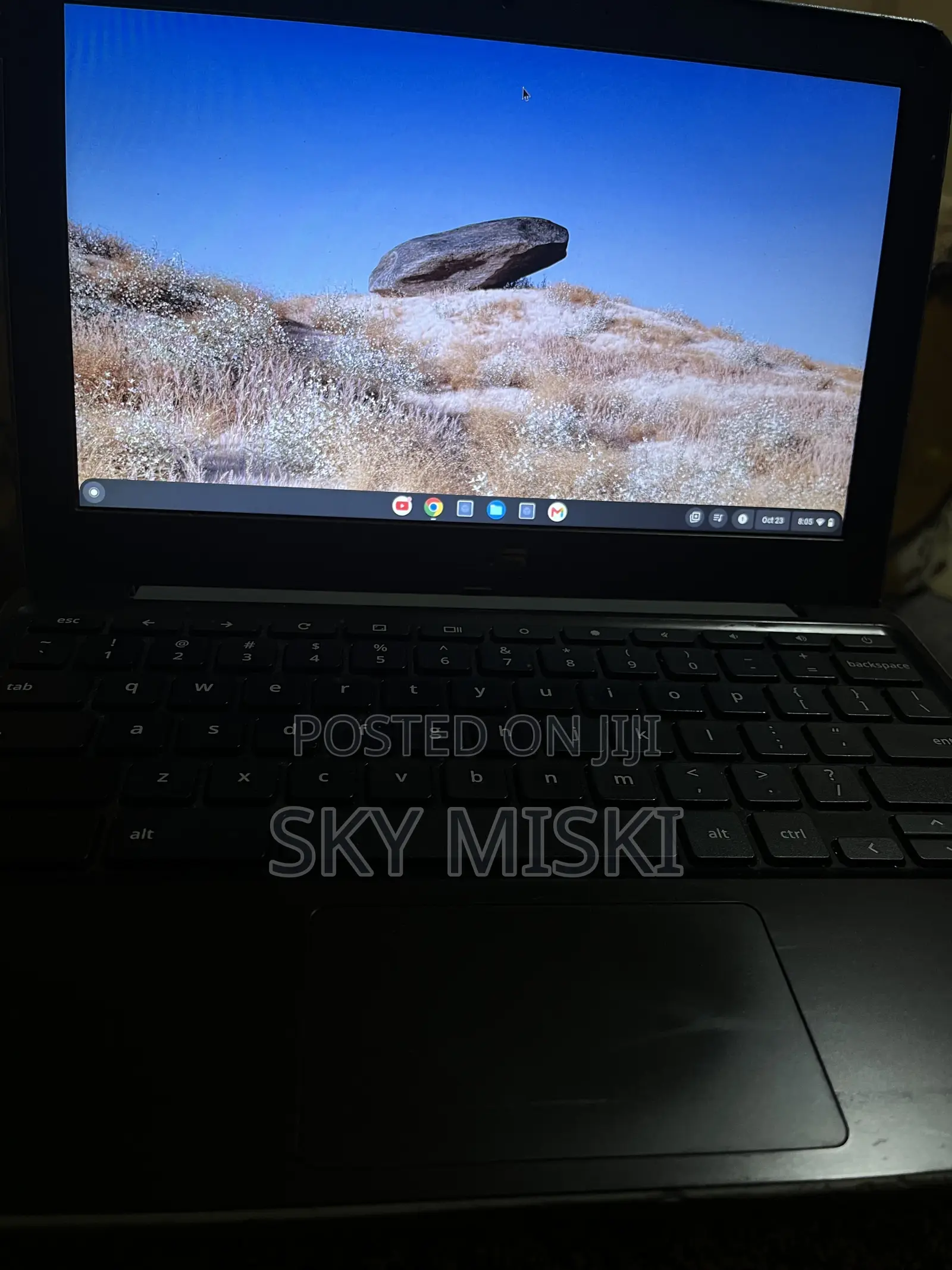Laptop HP Chromebook 4GB Intel Pentium eMMC 32GB