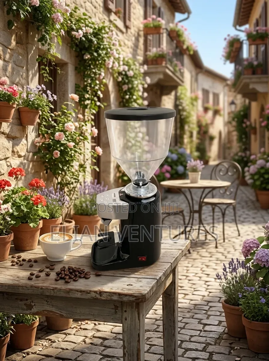 Most Unique Electric Commercial Coffee Grinder