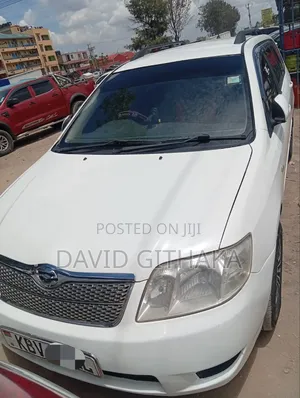 Toyota Corolla Fielder 2007 White