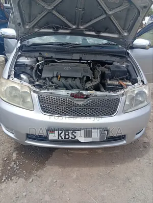 Toyota Corolla Fielder 2006 Silver