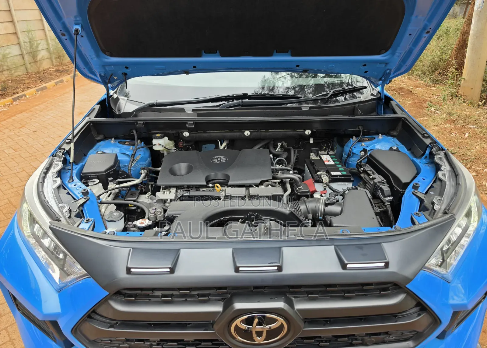 Toyota RAV4 2019 Blue