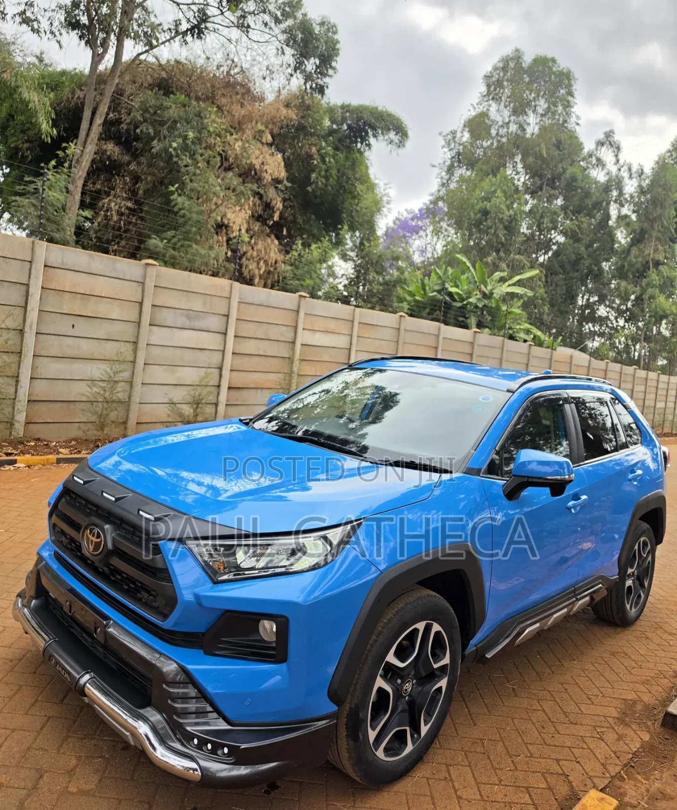 Toyota RAV4 2019 Blue