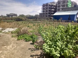 Plot for Sale in Pipeline