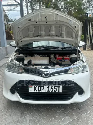 Toyota Axio 2016 White