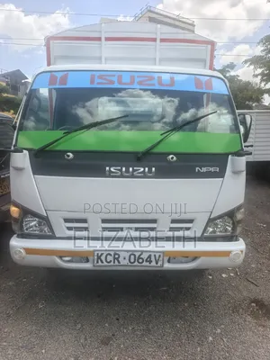 ISUZU NPR Lorry for Sale