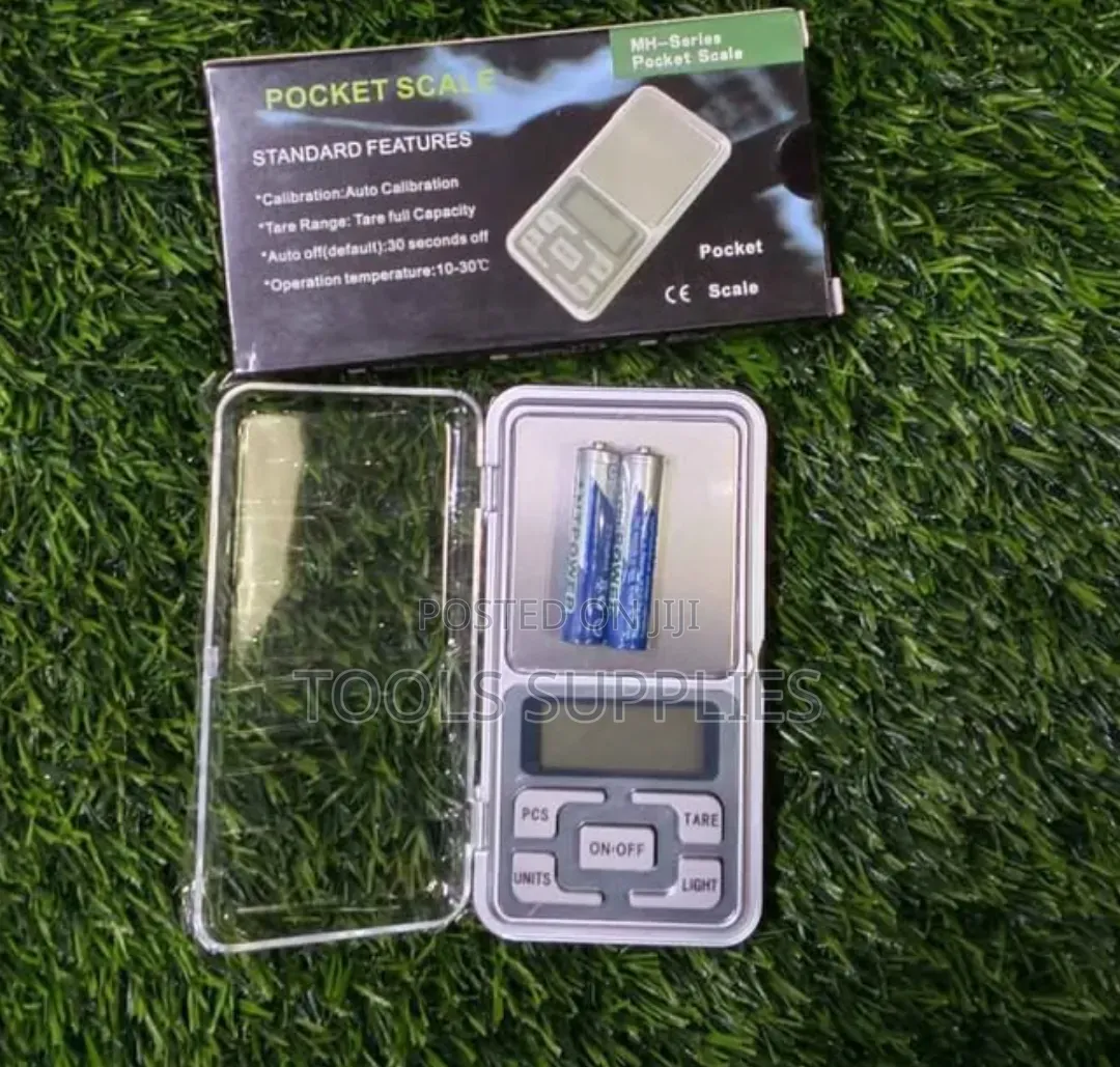 0.01g* 500 G Scale