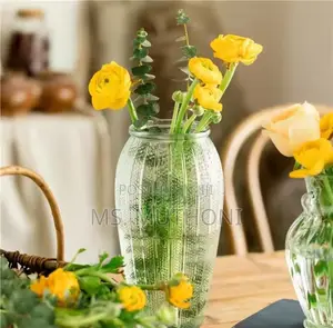 Minimalist Ribbed Transparent Glass Vase