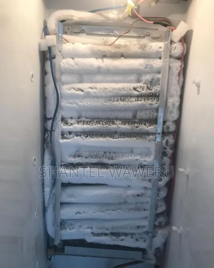 Fridge Repair and Service.
