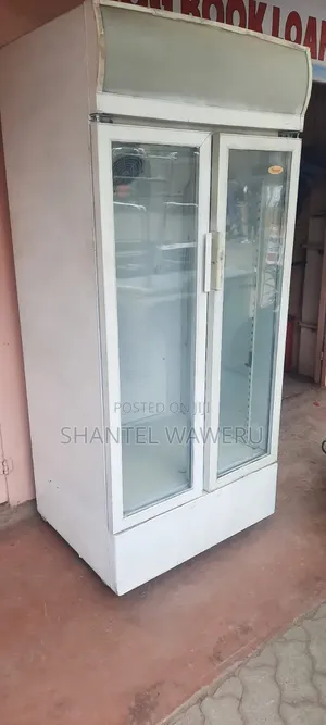 Samsung's Fridge Repair and Service