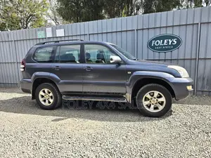 Toyota Land Cruiser Prado 2008 Gray