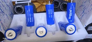Yinlong Lto Battery
