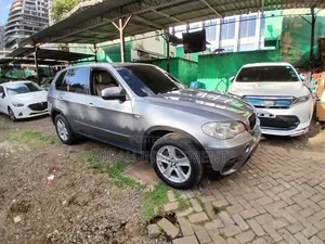 BMW X5 xDrive30i AWD (3.0L 6cyl 6A) 2010 Gray